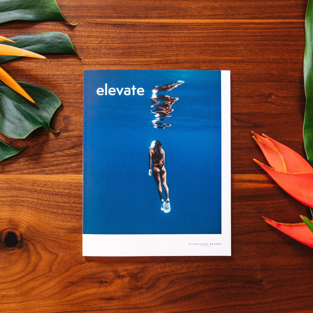 nmg-network-2H8rBmhZPow-unsplash