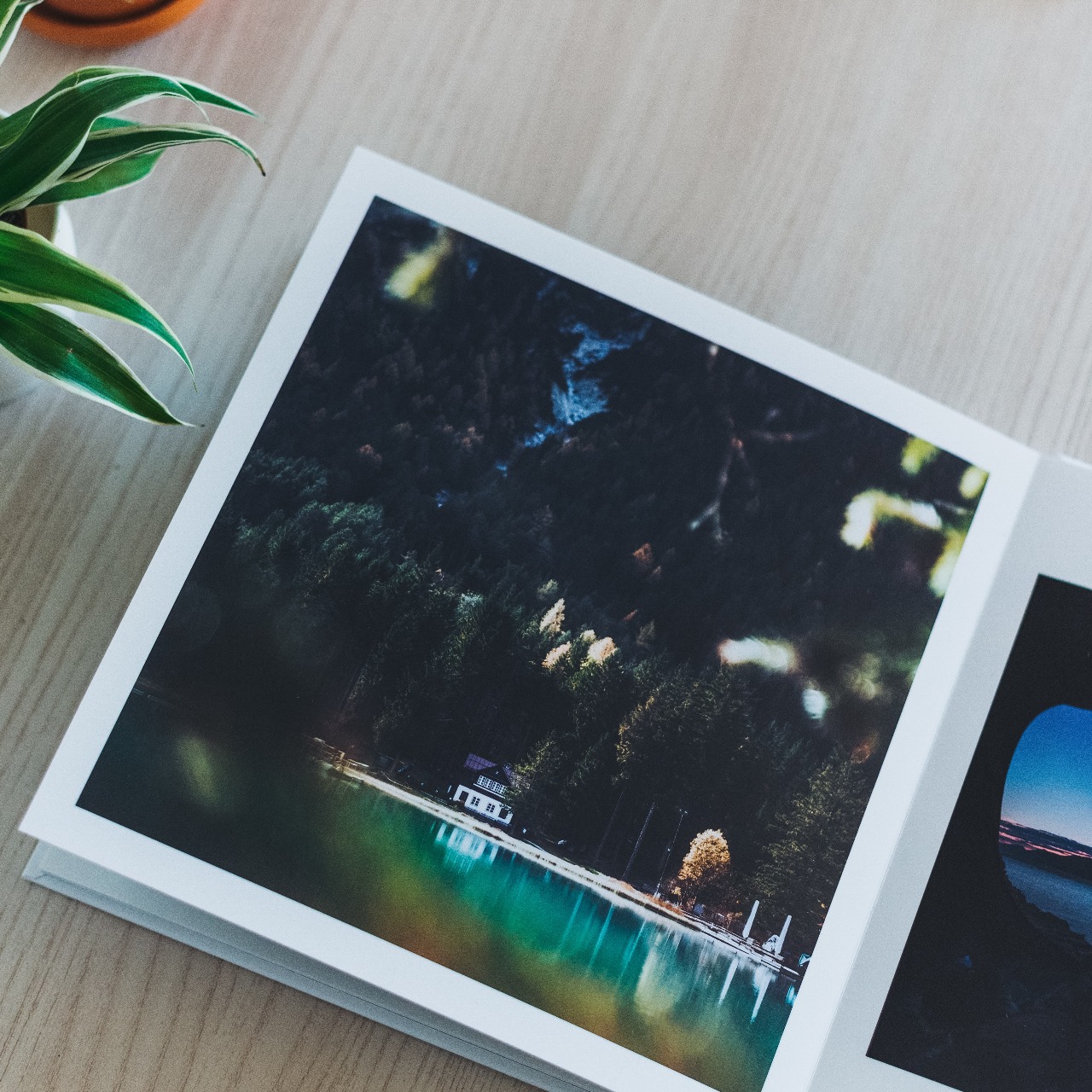 alessio-lin-E_1s_4plD6E-unsplash